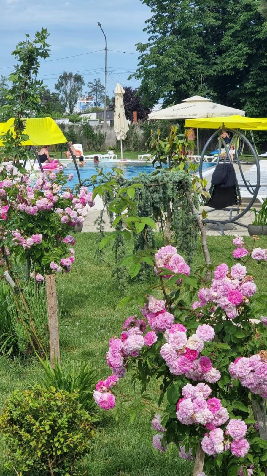 Hotel Iulia Resort Venus Dış mekan fotoğraf
