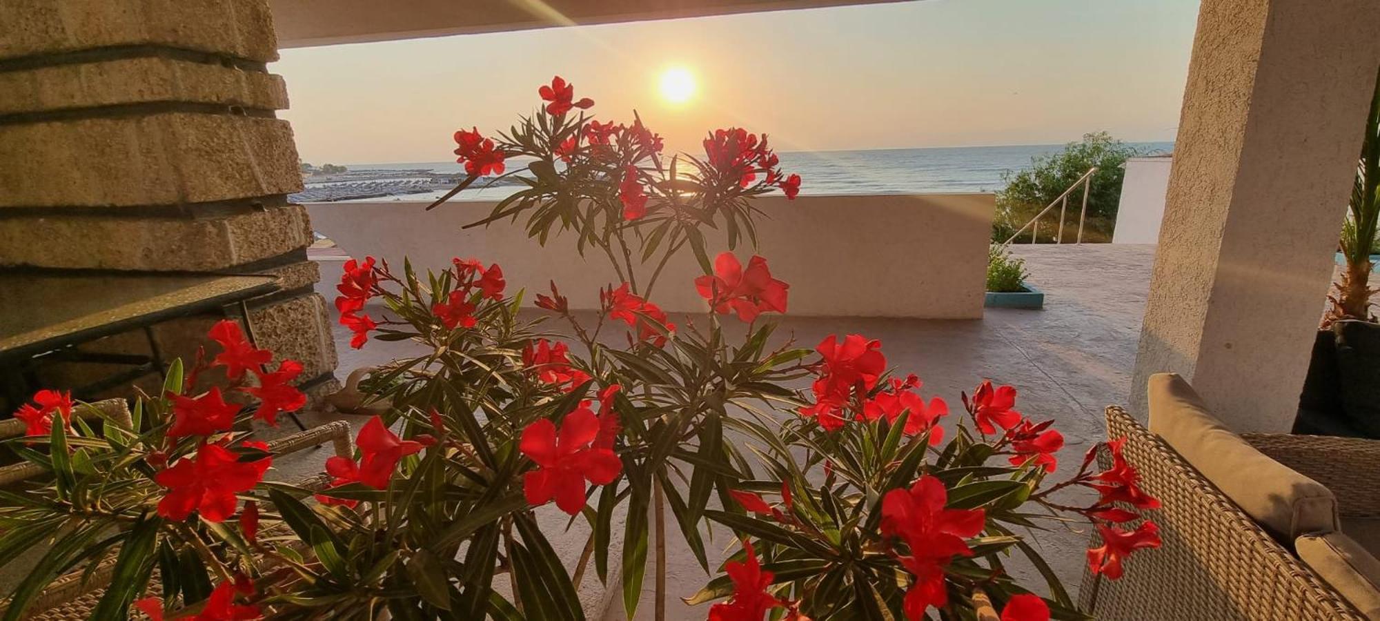 Hotel Iulia Resort Venus Dış mekan fotoğraf