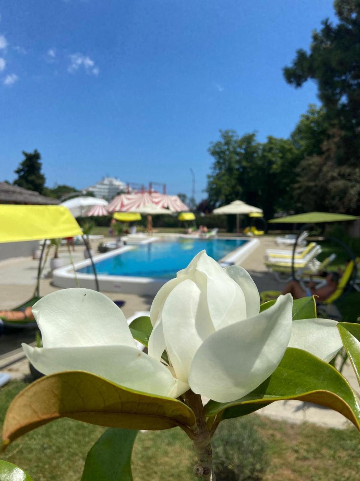 Hotel Iulia Resort Venus Dış mekan fotoğraf